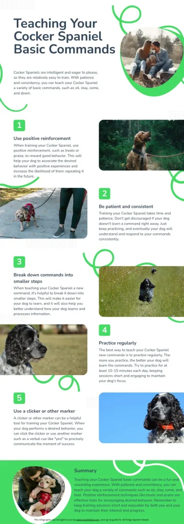 cocker spaniel basic commands