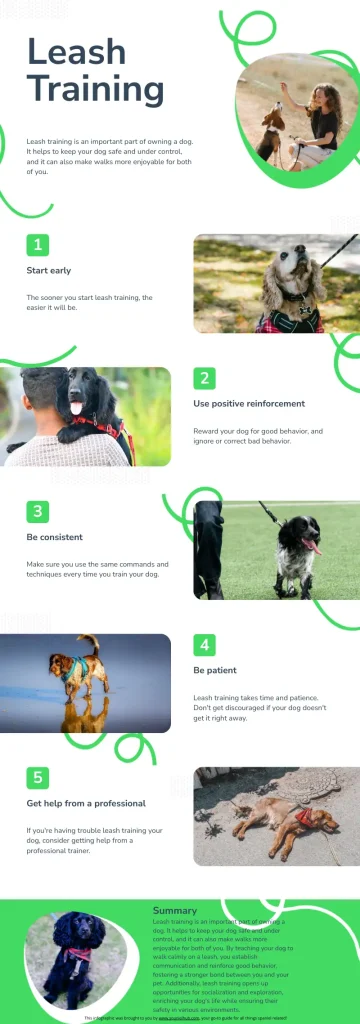 An informative infographic about leash training. 